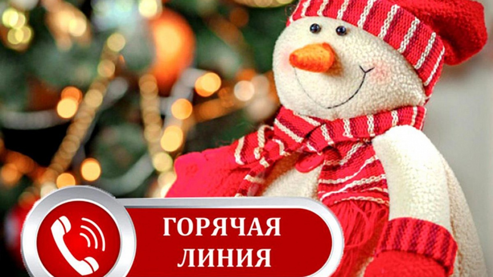 Проводится «горячая линия» по вопросам качества и безопасности детских товаров, по выбору новогодних подарков.